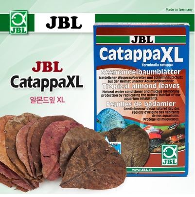 JBL 알몬드잎(Catappa) XL [10장입]